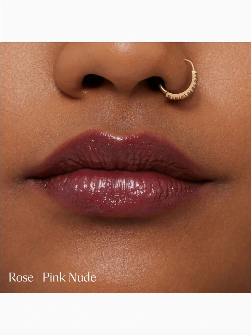Kulfi Lassi Lips Staining Lipgloss Lip Oil in Rose BNIB